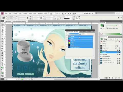 Adope Flash Tutorial CS4 Color Management