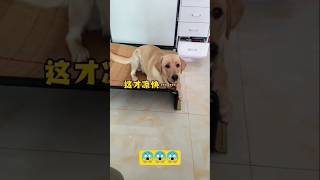 its to hot weather on the Ac😆 #funny #kids #cartoon #viral #fyp #trending #shortsfeed #pets