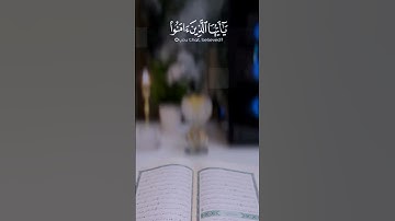 القارئ محمد الفقيه ان الله وملائكته #قران_كريم #ارح_قلبك