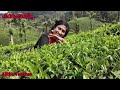 Kadambari pushpa sadassil....song by Ajitha Teacher