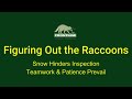Raccoon Trapping Pivot | Obvious Spot for Entry is NOT the Spot of Entry