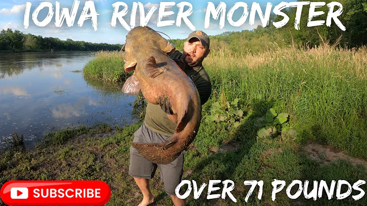 Iowa River MONSTER | 71.6 LB Flathead