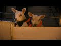 This Giant Rabbit Is Like a Mother for Orphan Lambs 🐰 Amazing Animal Friends | Smithsonian Channel