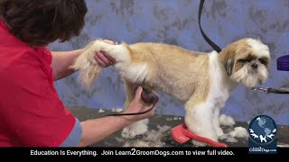 Free Preview: Cute Shih Tzu Trim - Grooming by the Numbers by Learn2GroomDogs.com 583 views 4 months ago 2 minutes, 13 seconds
