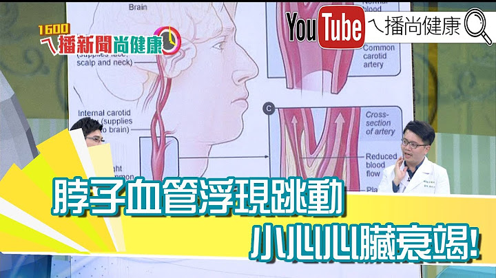 《手上青筋多是血管硬化?医师:鬼扯》【2019.12.26『1600ㄟ播新闻尚健康』】 - 天天要闻