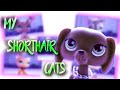 LPS: МОЯ КОЛЛЕКЦИЯ СТОЯЧЕК~MY LPS SHORTHAIR CATS COLLECTION~Rachel~