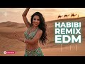 Arabic Bass Boosted 2026 | ريمكس عربي نار | Nonstop Dance Music Mix 🔥
