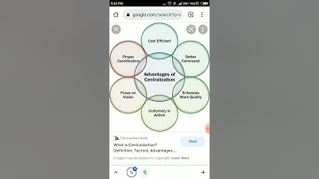 centralisation-- advantages and disadvantages