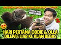 HARI PERTAMA ODDIE & OLLA SI BAYI BERANG-BERANG DILEPAS KE ALAM BEBAS! IKUTIN AKU KEMANAPUN! GEMES!