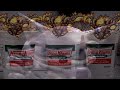 Terraria Calamity Expert Death Nohit (watch this dunk) - Profaned Guardians