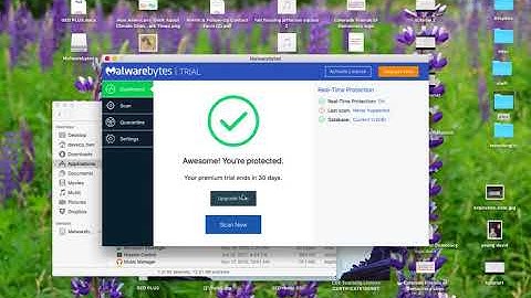 installing malwarebytes for a mac