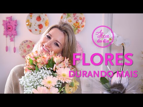 Vídeo: As flores de espuma são invasivas?