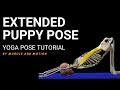 Extended Puppy Pose - Yoga Pose Tutorial by Muscle and Motion