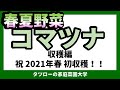 コマツナ 収穫　祝！2021年春の初収穫！　[家庭菜園]  春夏野菜 こまつな 小松菜