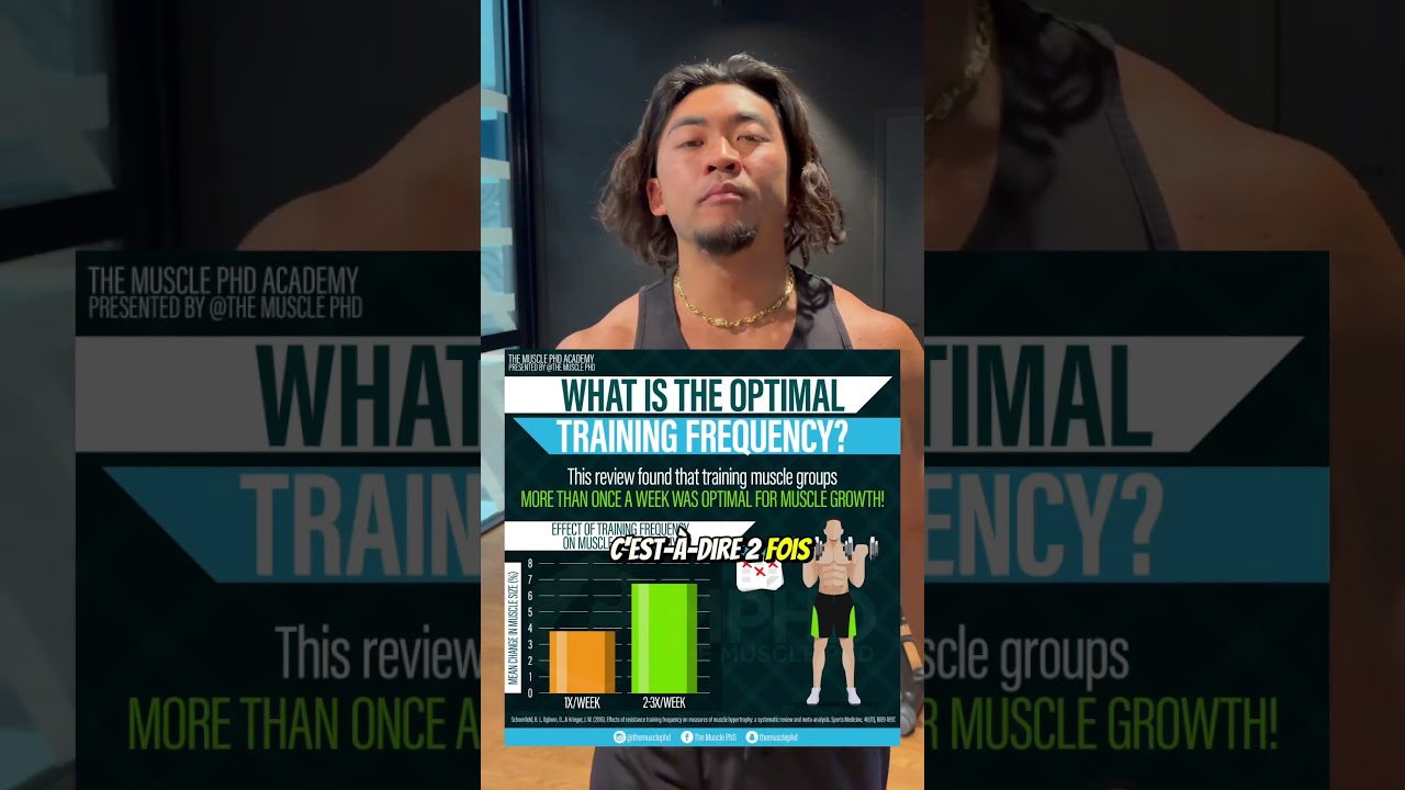 Split vs Upper Lower pendant 30 jours : lequel est le plus efficace ?