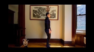 Tai Chi Standing Meditation (Wuji Zhuang 无极桩) | Tai Chi Combat COVID19 Series 1