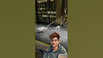 Japan’s Chained Robot Dog – Art or Warning?#shorts