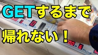 【破産なるか】取れるまでUFOキャッチャーやってみた！【攻略】