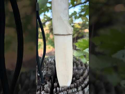 Carve a Genesis with a Genesis!