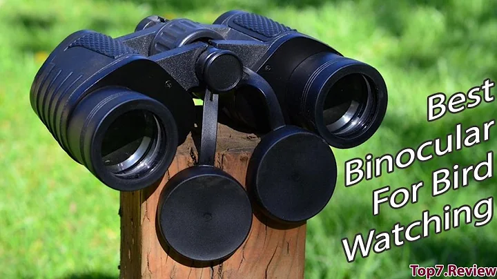 Best Binoculars for Bird Watching - Finding Best Item! Get Here - Top7USA