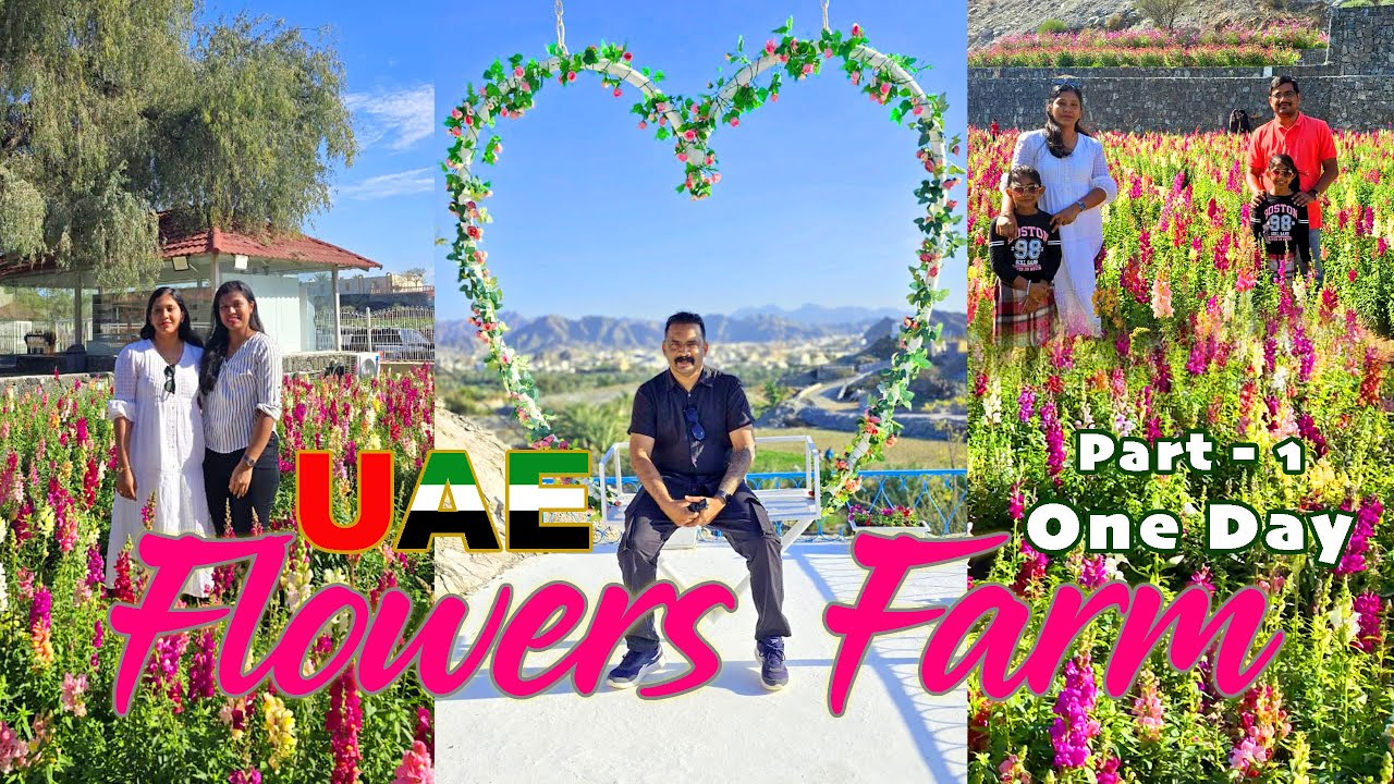 UAE Flower Farm Ras Al Khaimah | Santorini of UAE in Masafi | SANTHOSH THE TRAVELLER