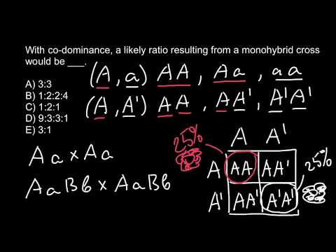 Video: Менделиан кодоминантыбы?
