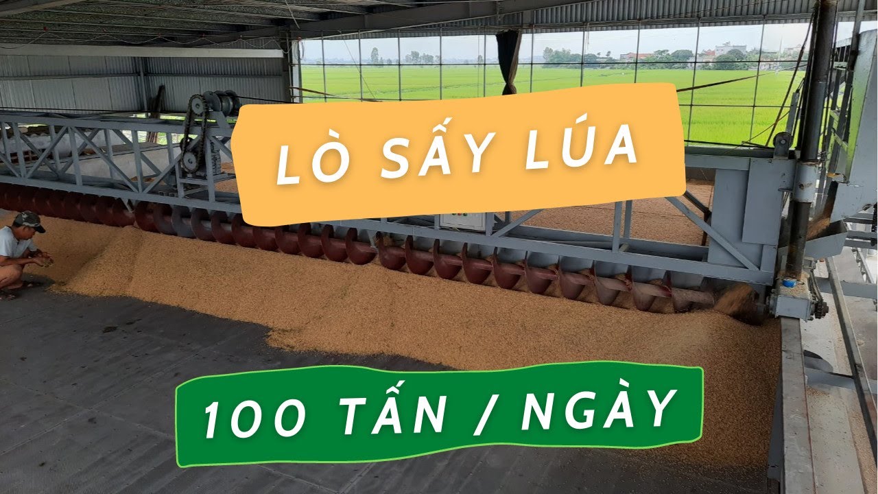 Xây lò sấy lúa hiệu quả - YouTube