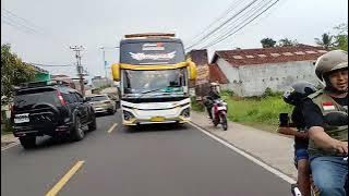 Ngoyod THE MORPHIN X NABILA #shorts#telolet#basuri#busmania#viral#fypツ#QQTRANS#NABILA#THEMORPHIN