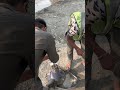 “Slump Test on Site | Concrete Workability Test #shorts” #slumptest #concrete #civilengineer