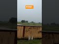 बरसात का मौसम #nature #reels #youtubeshorts #facebook #ayodhya