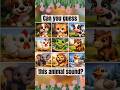 Guess the Animal Sound | 9 Animal Sounds for Kids