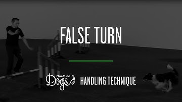 False Turn Agility Handling Technique