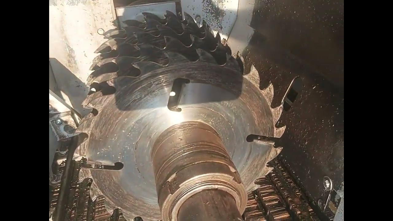 Multi-blade Saw, Raimann, model VarioRip 310M; MFG 2012