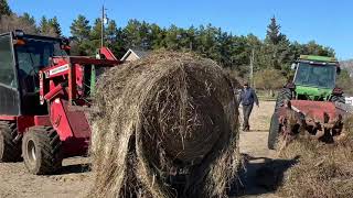 Redneck Ranching