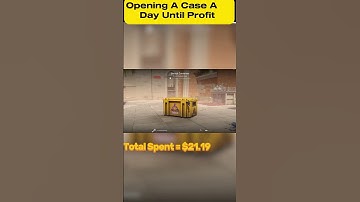 Opening A Case A day | Day 8 | CS2 Unboxing #cs2 #csgounboxing