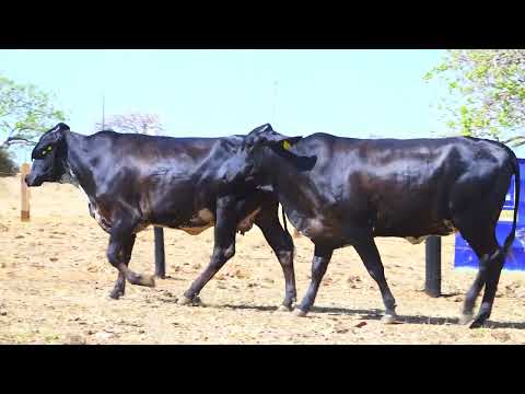 LOTE 10 4255 BY, 5534 CB