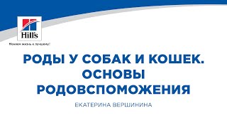 Вебинар на тему: «Роды у собак и кошек. Основы родовспоможения». Лектор - Екатерина Вершинина