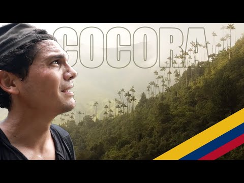 🔥COCORA: Colombia's true "Encanto" 🇨🇴
