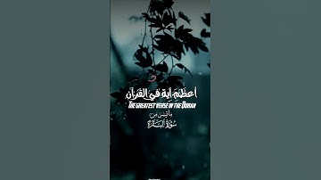 آية الكرسي #قرآن كريم #المصحف #راحة_نفسية 🤍🙂#quran