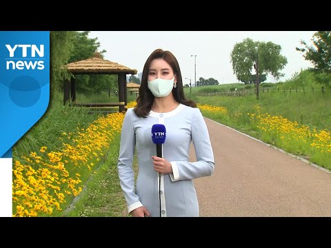 [날씨] 오늘 구름 많고 초여름...내일 30℃ 안팎 더위 / YTN