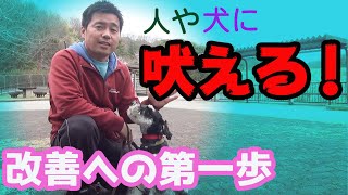 【犬のしつけ　吠える】散歩で人や犬に吠える。問題解決へ簡単に出来る第一歩♪〖犬のしつけ幼稚園＠神戸〗byかずま先生