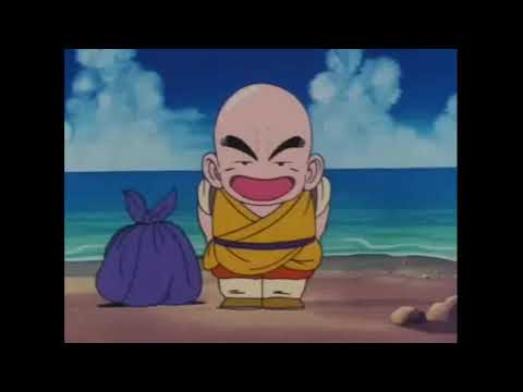 Gokhu Meets Krillin For The First Time