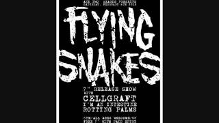 Flyingsnakes - Sermon