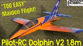 The Unbelievably Simple Turbine Jet: Pilot-RC Dolphin V2 1.8m