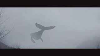 $uicideboy$ – Fold//Перевод//rus subs