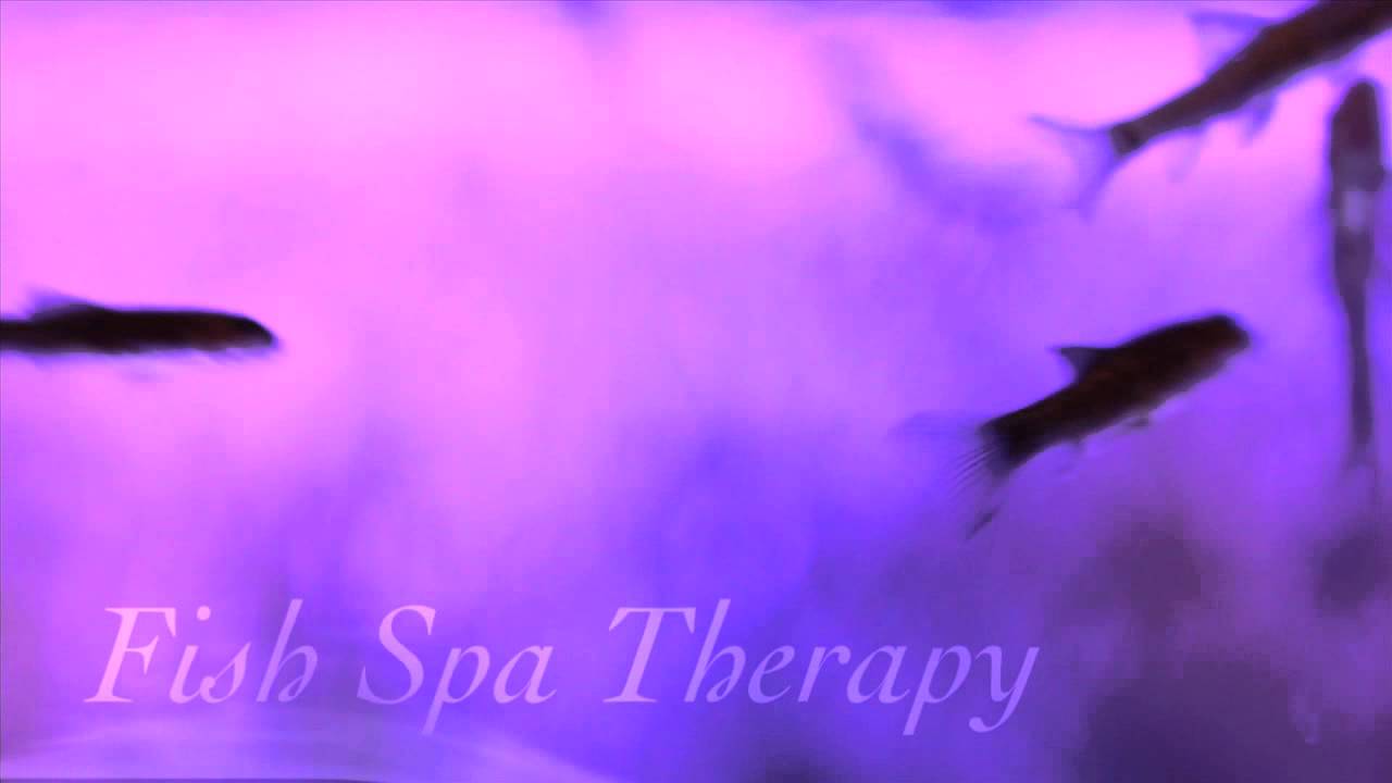 Fish Spa Therapy YouTube
