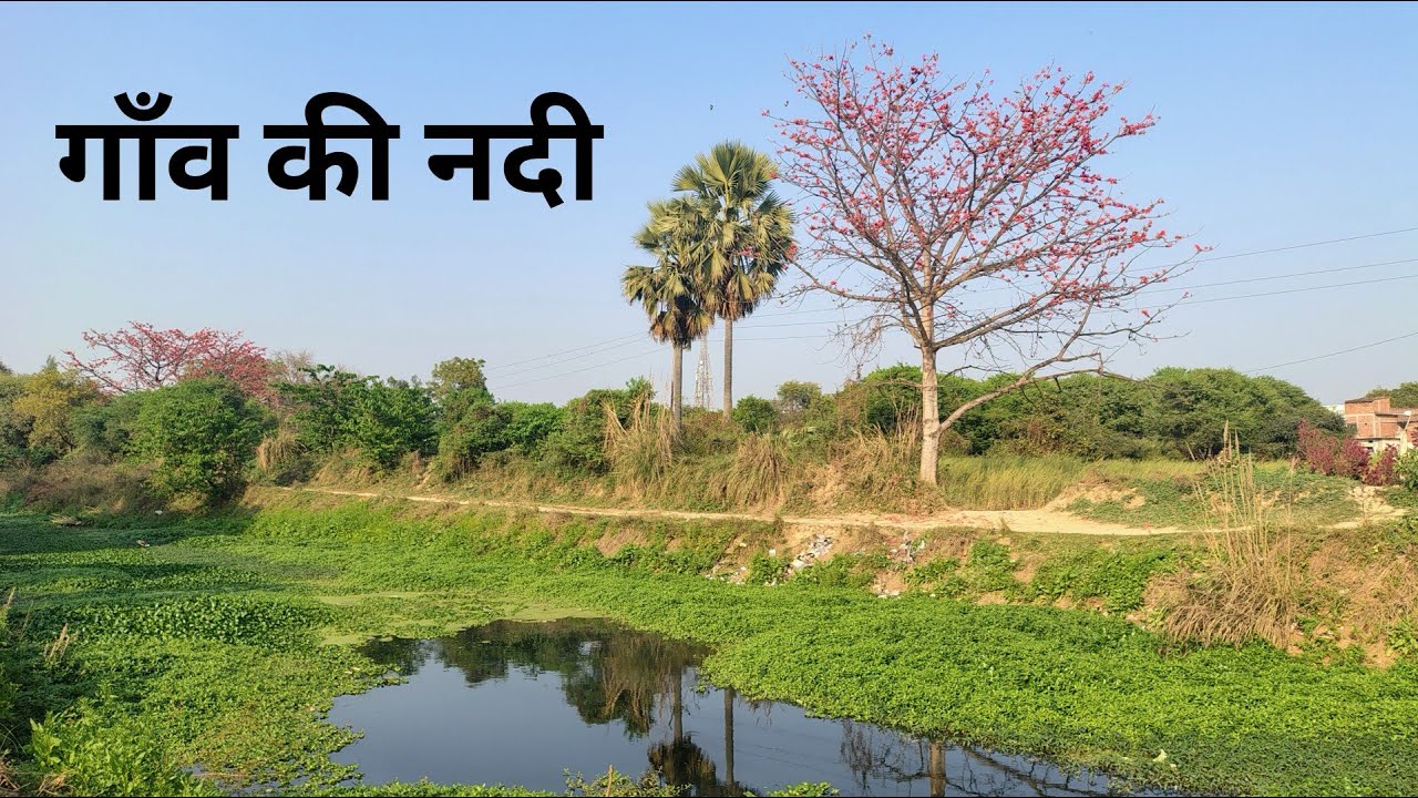 गाँव की नदी | village river | desi village vlogging | nature lovers 