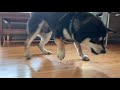 Beginning of video
