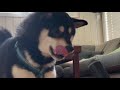 Middle of video