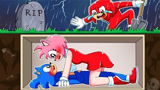 Sonic & Amy is BURIED ALIVE?!  Sonic & Amy LOVE STORY  Sonic The Hedgehog 3 Animation